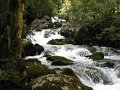 2006 Drome Vercors (53)